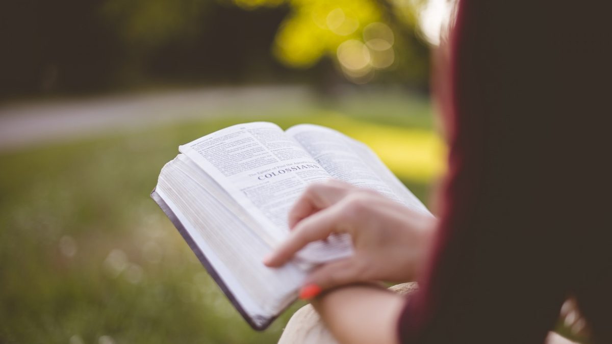 L'hiver : la période idéale pour vous mettre à la lecture